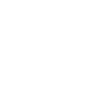Salsa Approved logo
